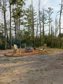 The Turtles Nest! - Image 5