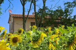Il Viaggiolo - Image 4