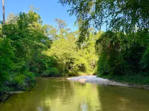 Little Pine Farm - Springfed River & Private Beach - Image 5