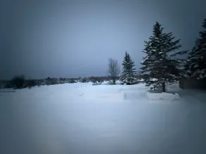 Murray's Tahquamenon Ranch - Image 5