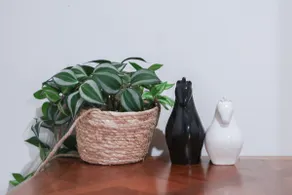 Uni & City Smart Stay - Image 4