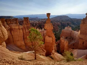 Aunt Bee's near Bryce - Image 3