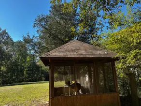 Cabin Fever - Image 4