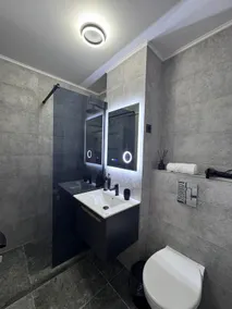 Grey Serenity - Image 3