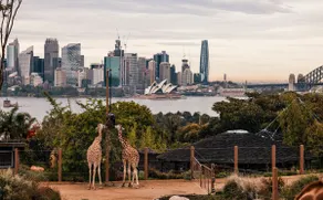 Mosman 2BR Retreat | Near Taronga Zoo & Beach - Image 5