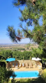 Yali Paradise - Image 5