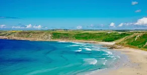 The Sennen Dream - Image 2