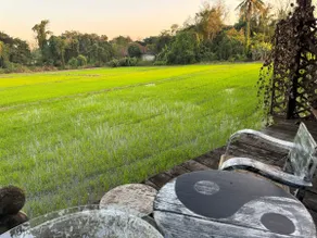 Flow Sanctuary Retreat Tai Chi ｜Yoga ｜Healing Stay - Image 3