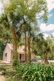 Paradise nook near Orlando's theme parks - Image 2
