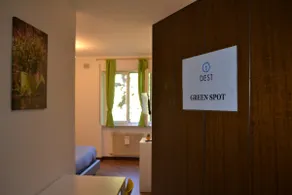 Green Spot - Image 5