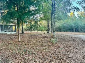 Palm Haven-Couples Quiet Retreat - Image 5