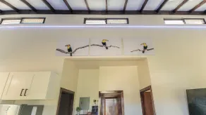 Modern Toucan Farmhouse - Belmopan Escape - Image 4