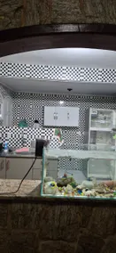 3-bedroom house, pool and barbecue area. - Image 3