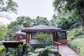 Exclusive Rainforest Paradise - Image 2