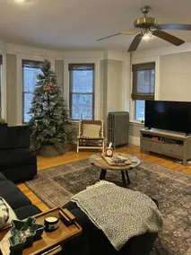 Renovated 2BR Apt -Sleeps 6, Free Pkng, Near Salem - Image 4