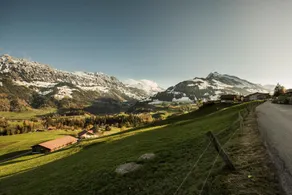 Chalet Bergwelt - Panoramic view - Image 5