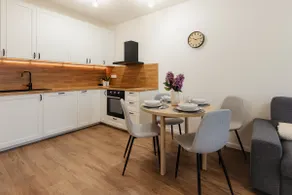 BNB Bory Retreat with Balcony and Parking space - Image 3