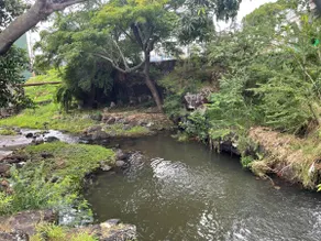 Urban oasis in heart of city-large yard - Image 5