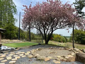 Private Ranch Retreat Near Golf & Narita Airport - Image 4