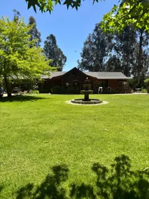 The oasis of Zapallar - Image 5