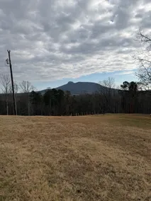 Mountain View Guest Cottage at “The Vineyard” - Image 4