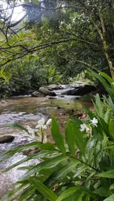 Sana Getaway - Private River for Swimming - Image 2