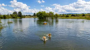Bamboo Rancho Maravilla · Private lake and campfires - Image 5