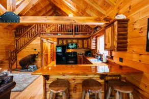 Seven Pines | Hocking Hills, 60 Acres, Firepit - Image 5