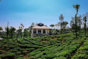 Laayam - Private Pool Villa in Vagamon - Image 5