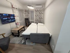 Luxury City Center Apartment with Sauna - Image 4