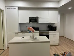 Luxury City Center Apartment with Sauna - Image 3