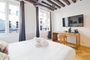 Luxurious Refurbished Studio – Central Paris, A/C - Image 5