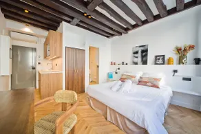 Luxurious Refurbished Studio – Central Paris, A/C - Image 3