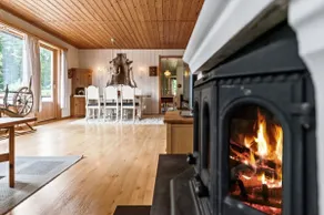 Beautiful cabin with all amenities for rent - Image 3