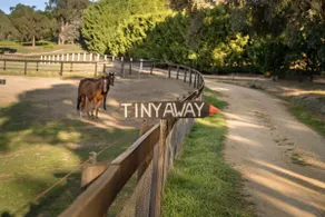 Paradise by Tiny Away - Image 2