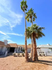Mesa 3 Palms Apartment - Image 3