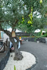 Agata's House - Image 4