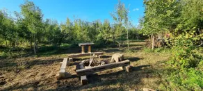 Farm Stay - Image 4