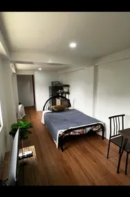 (Unit 6) - Cozy Studio-Type Apartment w/ AC & WIFI - Image 4