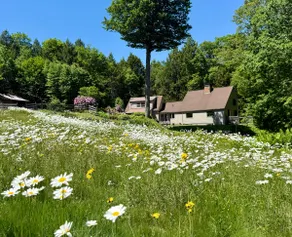 Shagbark, A Gay Rock River Guest House - Image 2