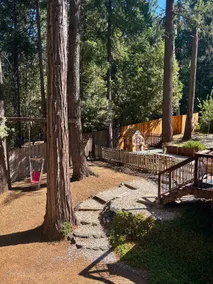 Cozy Nordic Cabin Escape|Pickleball w/Forest Views - Image 4