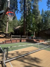 Cozy Nordic Cabin Escape|Pickleball w/Forest Views - Image 5