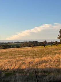 Ironbark Guesthouse Bells Beach - Image 3