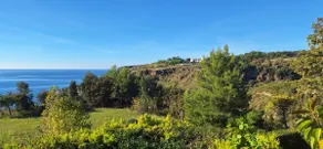 Bergamot Apartment with Terrace and Sea View - Image 4