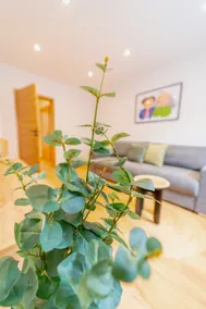Newly renovated 2-BR apartment “Max” near Area47 - Image 4