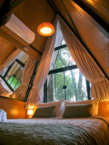 Green Garden Chalet / Charming Chalet in Annapolis - Image 5