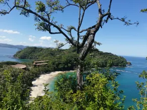 Pure Life Papagayo House - Image 4