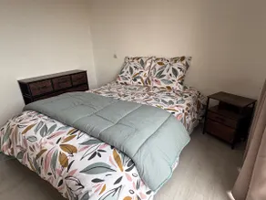 2-bedroom apartment in Cazères for 2 to 4 people - Image 3