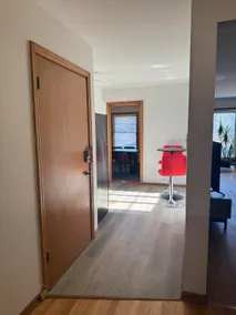 Bright & Spacious Oak Park Apartment - Image 5