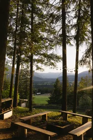 The Vella | Modern Forest Escape with Valley Views - Image 4